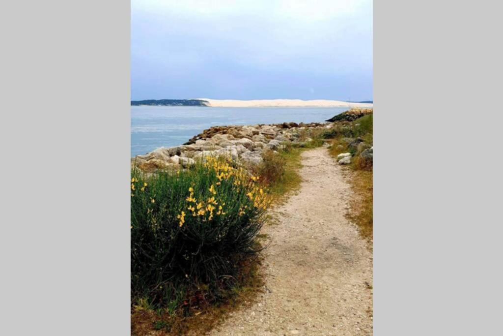 Colibri Appart' T2 Au Coeur Du Bassin D'Arcachon Gujan-Mestras Exterior foto